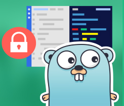 Practical Go Services Icon